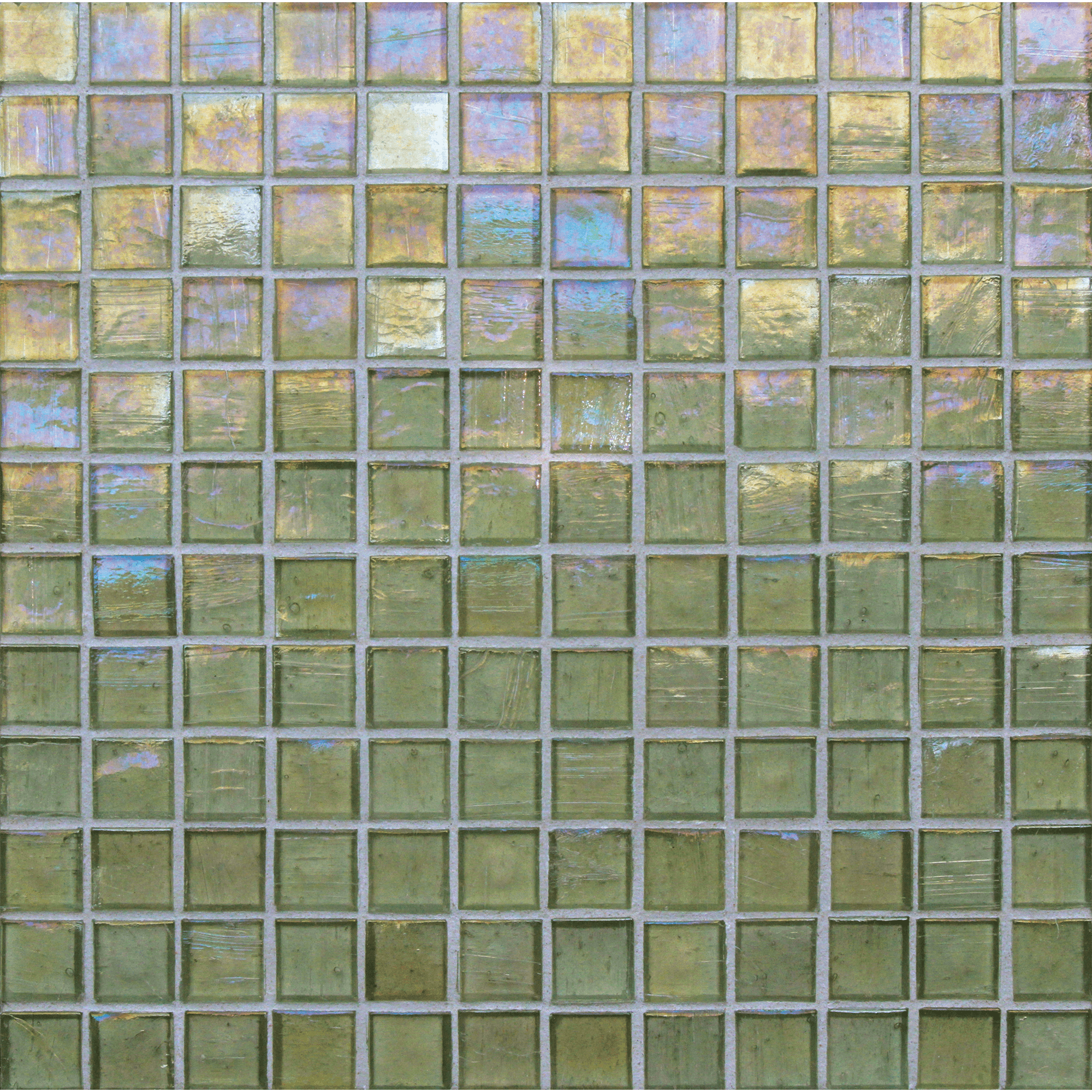1x1 Mosaic in Conifer