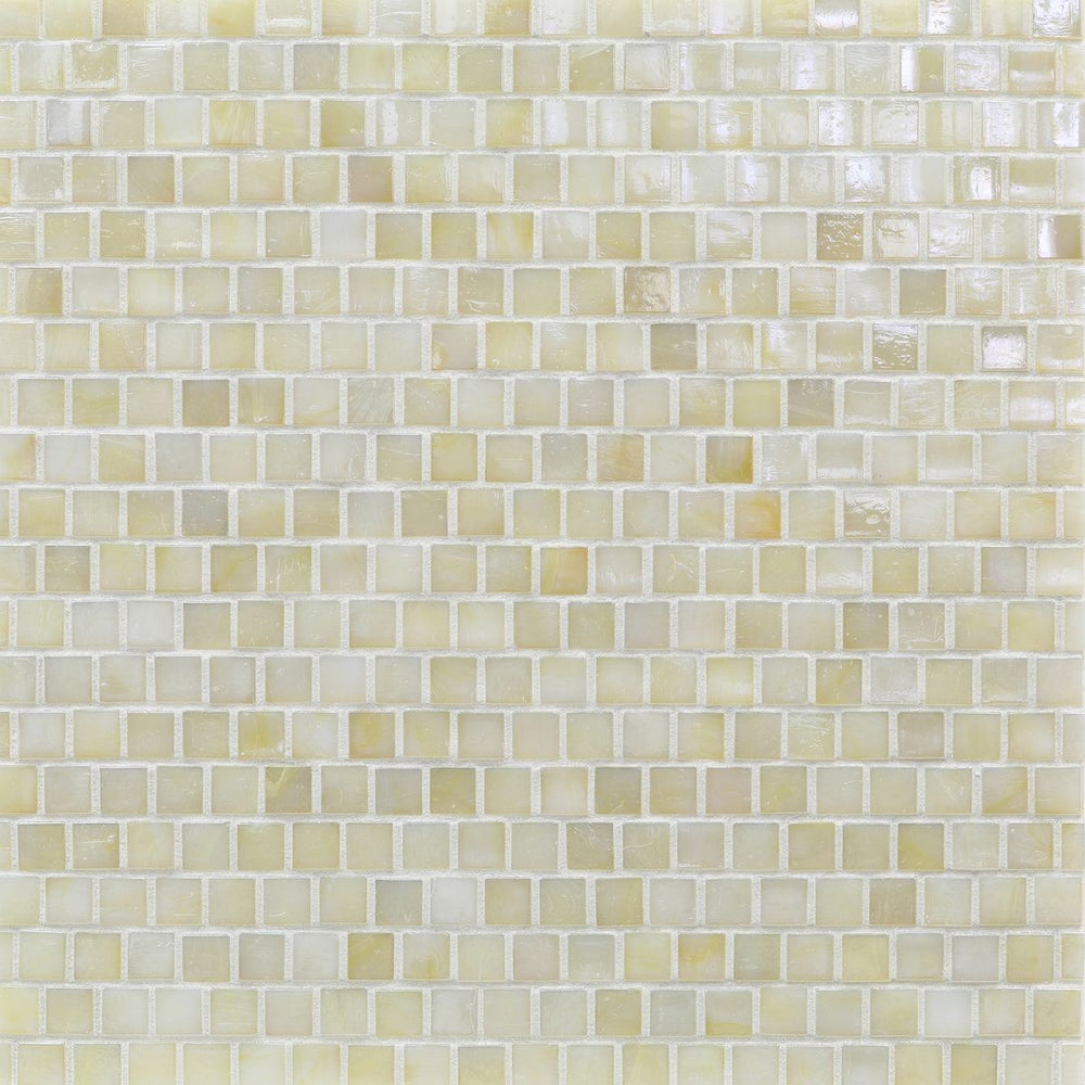 Sand Dollar Iridescent Glass Mosaic