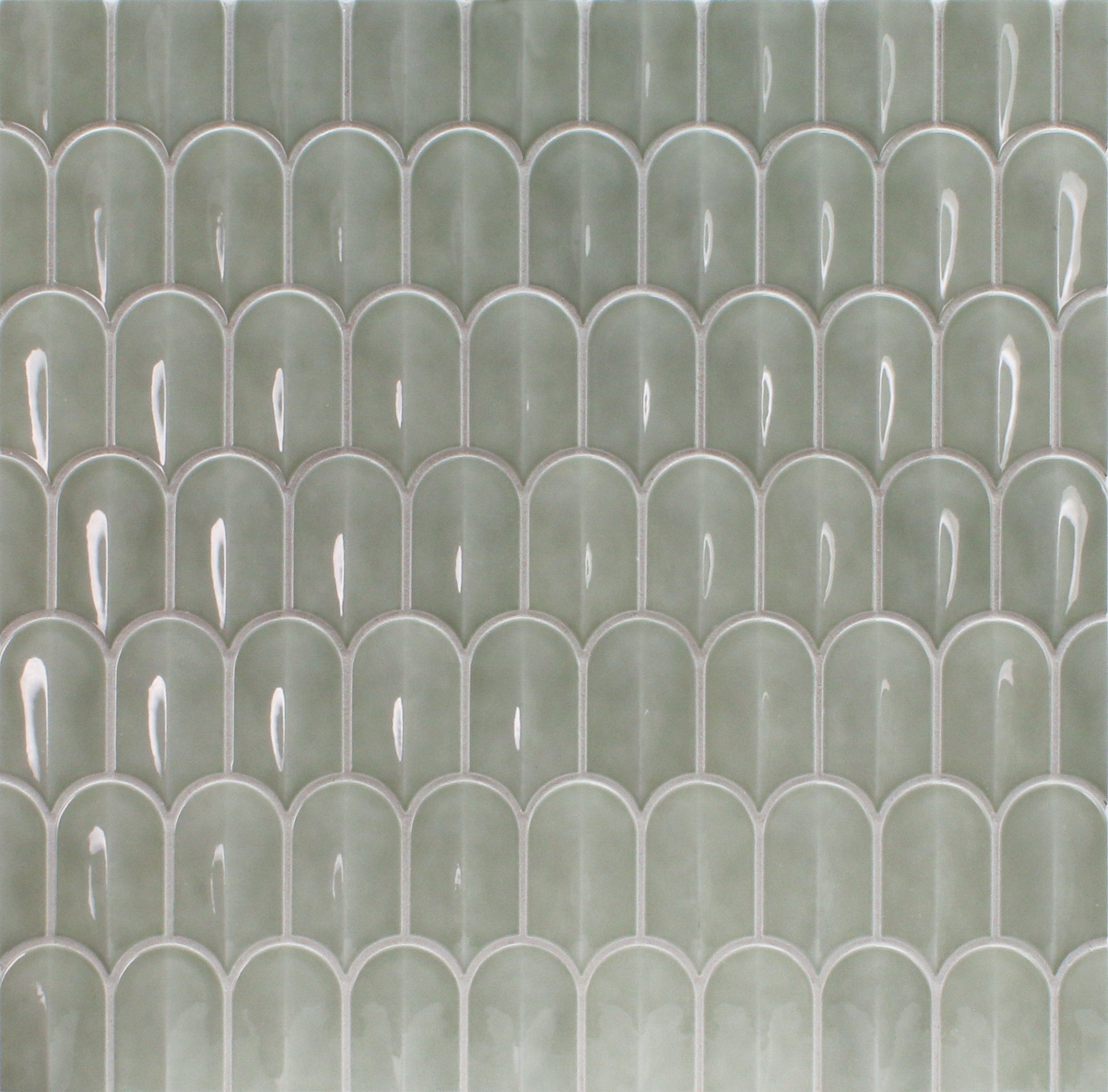 Scale in Eucalyptus Gloss - Ciao Bella Tile