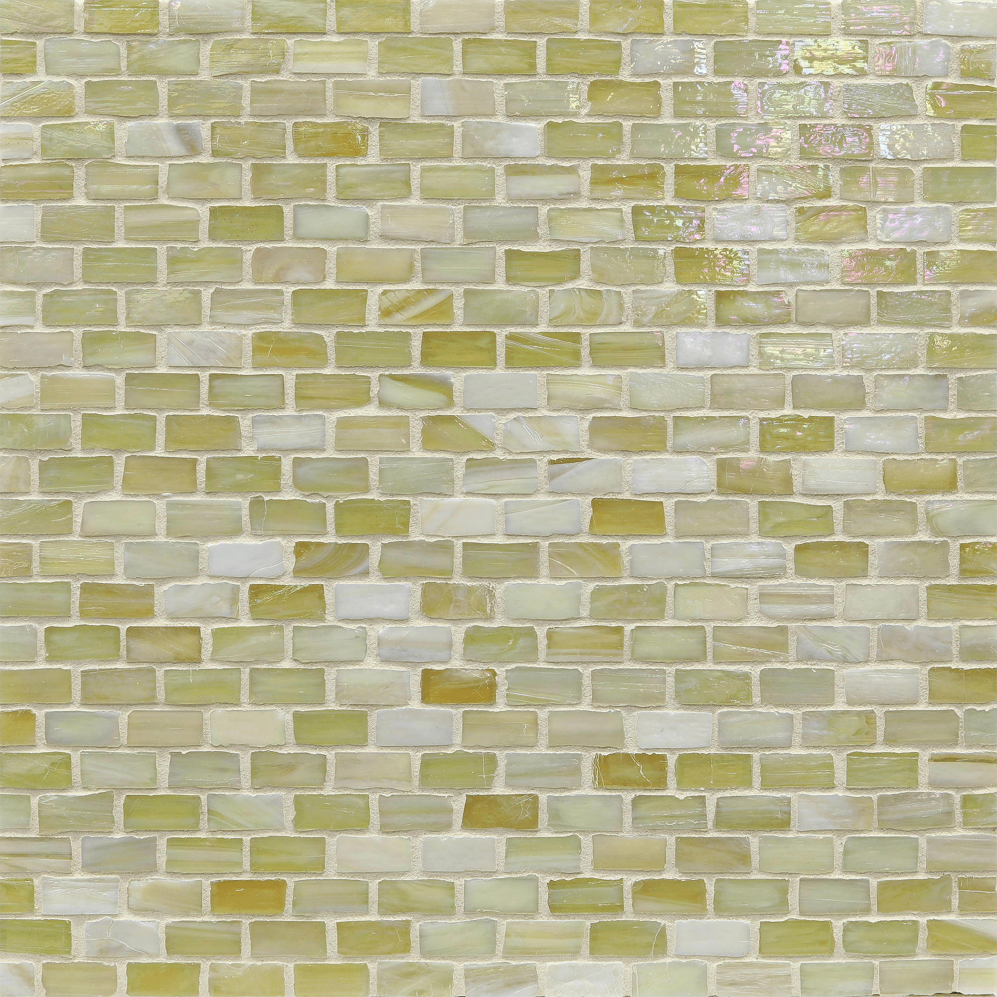 1/2x1 Mini Brick in Butterscotch - Ciao Bella